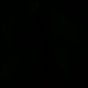 Video by janedoerey published on March 14,2023 22:07:00 - BestThots