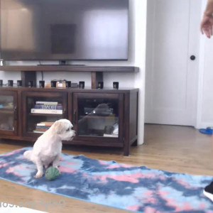 Video by reenaskyvip published on April 13,2023 04:17:00 - BestThots