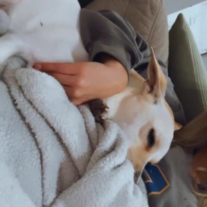 aylawoodruff #8640564