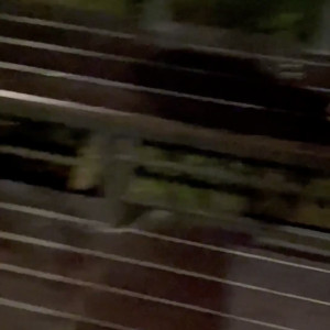 Video by juju_swing published on July 15,2023 21:29:00 - BestThots