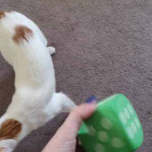 Video by shayerivers published on July 20,2023 09:47:00 - BestThots