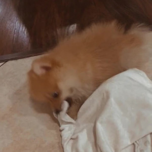 Video by indiefoxx published on March 8,2023 05:34:00 - BestThots