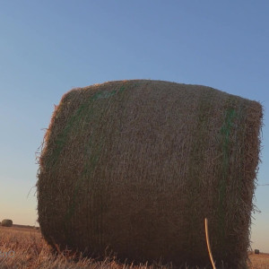 Video by korinakova published on June 16,2023 15:07:00 - BestThots