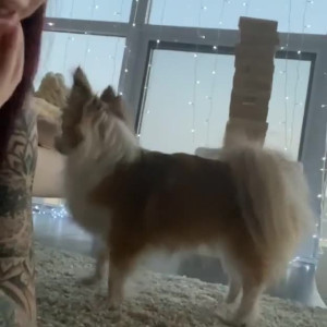 Video by eliselaurenne published on August 24,2023 13:49:00 - BestThots