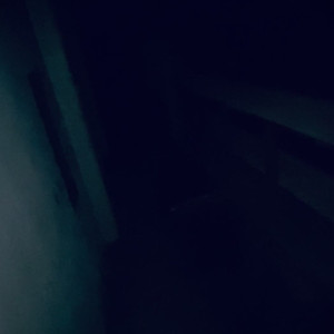 Video by bonni3gg published on August 22,2023 13:01:49 - BestThots
