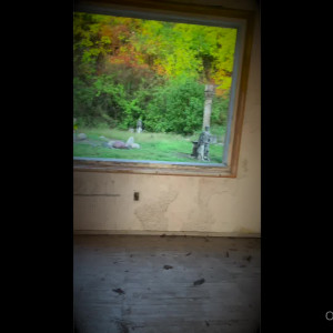 Video by bonni3gg published on August 22,2023 13:12:45 - BestThots