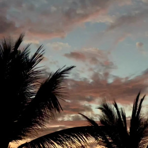 Video by bonni3gg published on August 22,2023 13:17:11 - BestThots