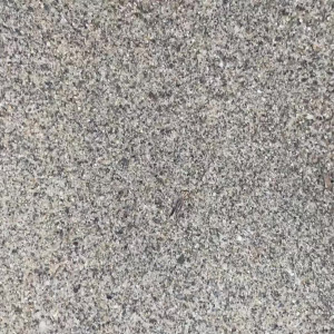 Video by bonni3gg published on August 22,2023 13:25:08 - BestThots