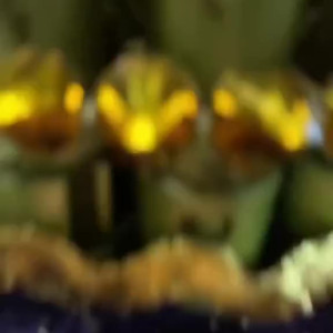 Video by xzanthia published on August 22,2023 13:29:04 - BestThots