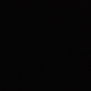 Video by samanthacons1 published on April 24,2023 08:24:00 - BestThots