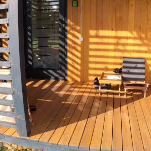 Video by ayumianimex published on November 29,2023 00:39:28 - BestThots