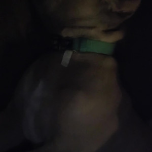 Video by nicolebrooks000 published on June 6,2023 15:26:00 - BestThots