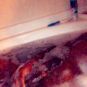 thepornbox #3815588