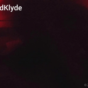 bunnyandklyde #8860511