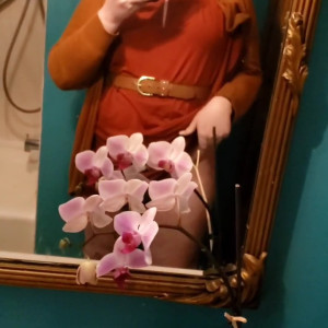 tsclarabelle #3763161