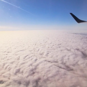 Video by tsclarabelle published on June 30,2023 11:09:00 - BestThots