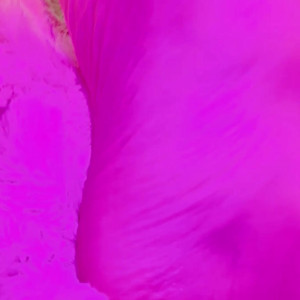 Video by lunaticapandora published on June 12,2023 03:47:00 - BestThots