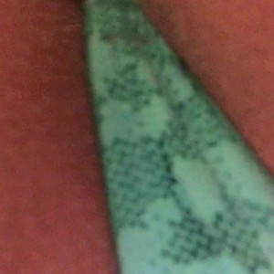 Video by thesexywifefl published on May 1,2023 17:17:00 - BestThots