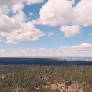 Video by themikaylamiles published on July 22,2023 12:22:00 - BestThots