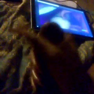 Video by aj180 published on November 20,2023 17:47:36 - BestThots