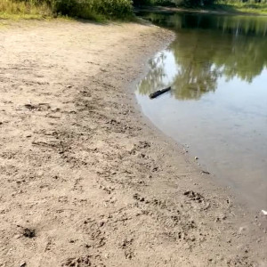 Video by misslexa published on August 28,2023 02:47:00 - BestThots