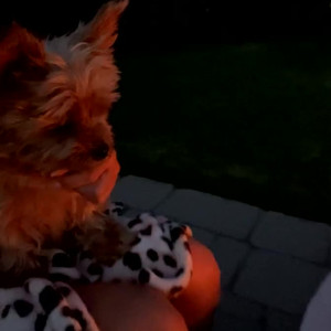 Video by misslexa published on July 24,2023 12:54:00 - BestThots