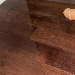 Video by misslexa published on July 27,2023 11:25:00 - BestThots