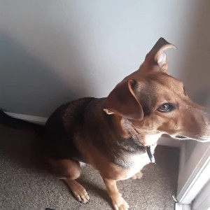 Video by geekikittenvip published on August 25,2023 19:44:00 - BestThots