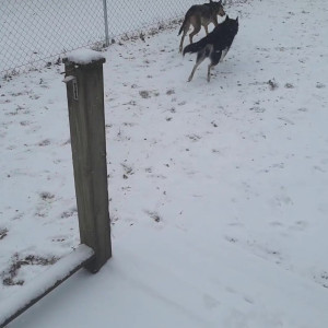 Video by geekikittenvip published on March 8,2023 04:27:00 - BestThots