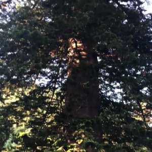 Video by erotic-magazine published on March 16,2023 02:25:00 - BestThots