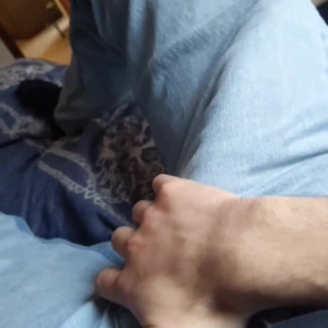 bigdicky23 #4951272