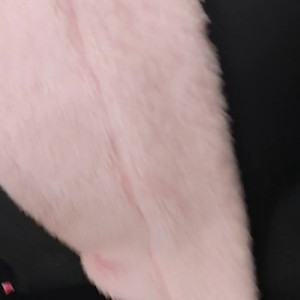 Video by thetiniestbunny published on March 20,2023 01:54:00 - BestThots