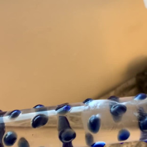 Video by caseyjayxxx published on March 20,2023 01:30:00 - BestThots