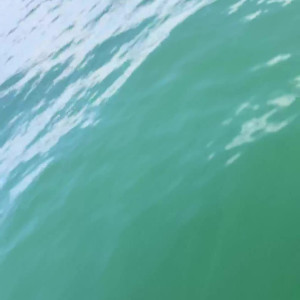 Video by katiekushxx published on August 7,2023 15:42:00 - BestThots