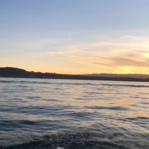 Video by katiekushxx published on May 8,2023 12:48:00 - BestThots