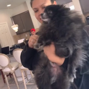 Video by katiekushxx published on April 3,2023 16:21:00 - BestThots