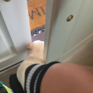 Video by viking.doll published on April 19,2023 19:50:00 - BestThots