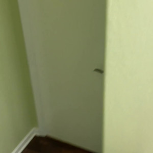 Video by hopelesssofrantic published on July 11,2023 18:02:00 - BestThots