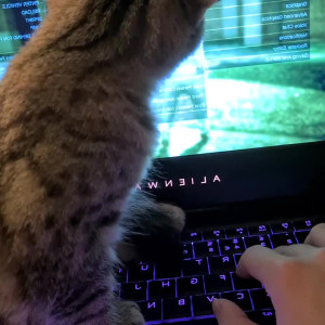 Video by nicolebun published on May 5,2023 04:51:00 - BestThots