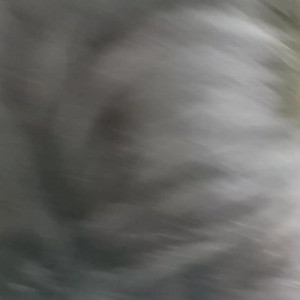 Video by krissamistress published on June 5,2023 16:20:00 - BestThots