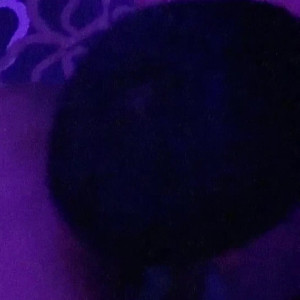 Video by xxxblondiexxx published on March 11,2023 16:43:00 - BestThots