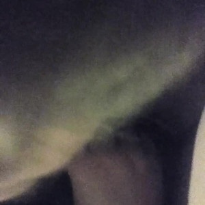 u213129020 #4435991
