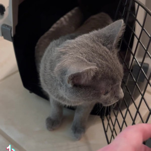 Video by lularanae published on June 3,2023 21:42:00 - BestThots