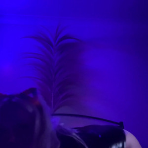 titslikedaisy #5692298