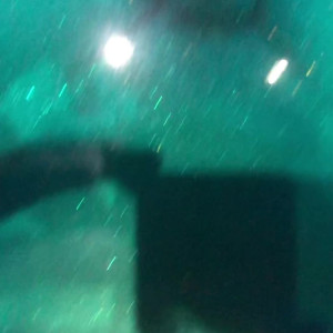 Video by jakubstefano published on August 7,2023 01:32:00 - BestThots