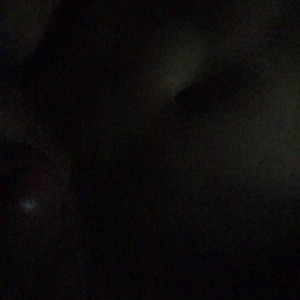 Video by jakubstefano published on July 3,2023 07:33:00 - BestThots