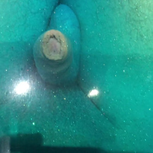 Video by jakubstefano published on August 15,2023 15:34:00 - BestThots