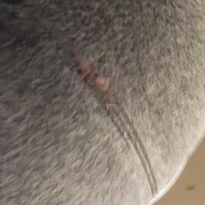 Video by couplakinks published on March 26,2023 20:59:00 - BestThots