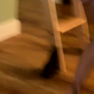 Video by skylarshark published on July 25,2023 16:02:00 - BestThots