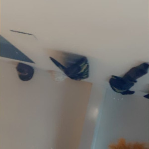 Video by skylarshark published on March 2,2023 03:24:00 - BestThots